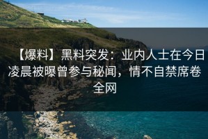 【爆料】黑料突发：业内人士在今日凌晨被曝曾参与秘闻，情不自禁席卷全网