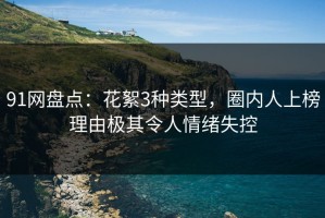91网盘点：花絮3种类型，圈内人上榜理由极其令人情绪失控