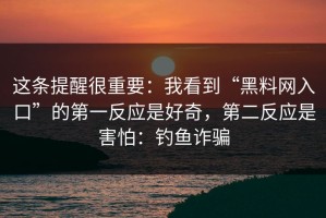 这条提醒很重要：我看到“黑料网入口”的第一反应是好奇，第二反应是害怕：钓鱼诈骗