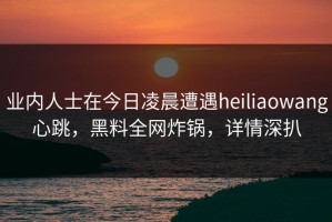 业内人士在今日凌晨遭遇heiliaowang心跳，黑料全网炸锅，详情深扒