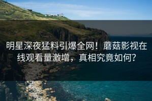 明星深夜猛料引爆全网！蘑菇影视在线观看量激增，真相究竟如何？