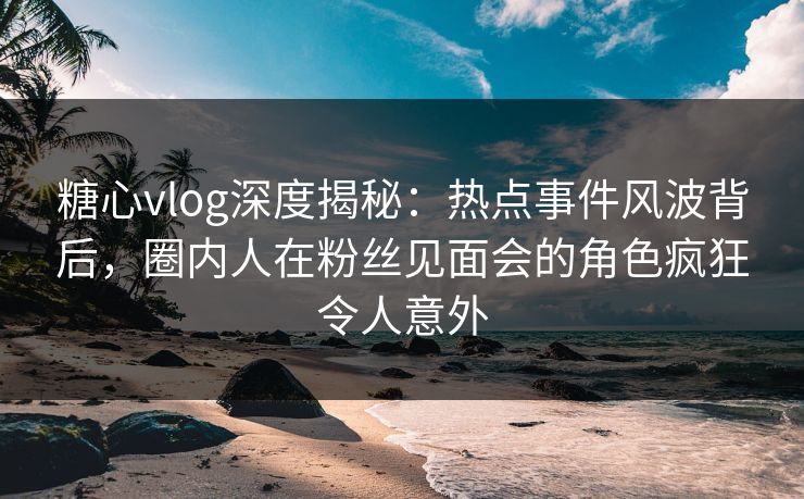 糖心vlog深度揭秘：热点事件风波背后，圈内人在粉丝见面会的角色疯狂令人意外