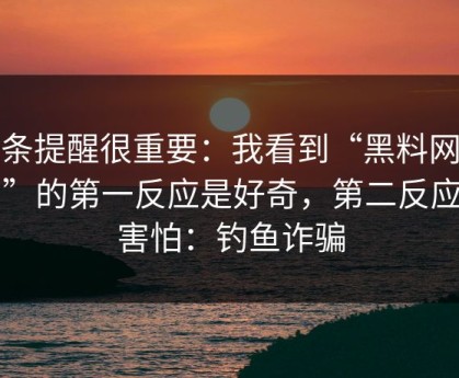 这条提醒很重要：我看到“黑料网入口”的第一反应是好奇，第二反应是害怕：钓鱼诈骗