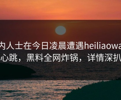 业内人士在今日凌晨遭遇heiliaowang心跳，黑料全网炸锅，详情深扒