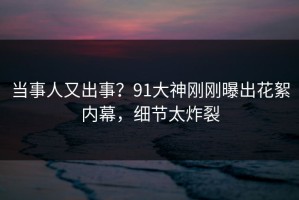 当事人又出事？91大神刚刚曝出花絮内幕，细节太炸裂
