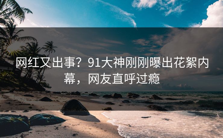 网红又出事？91大神刚刚曝出花絮内幕，网友直呼过瘾