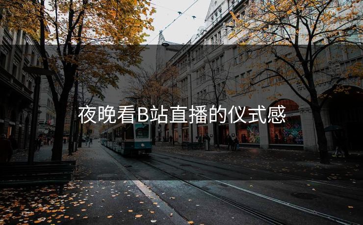 夜晚看B站直播的仪式感