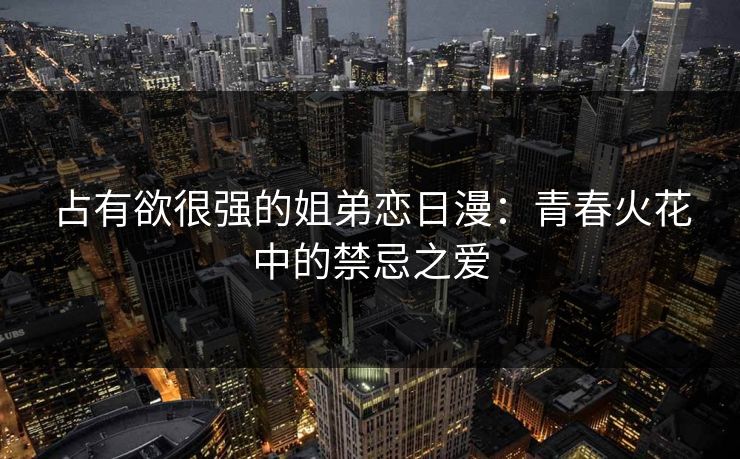 占有欲很强的姐弟恋日漫：青春火花中的禁忌之爱