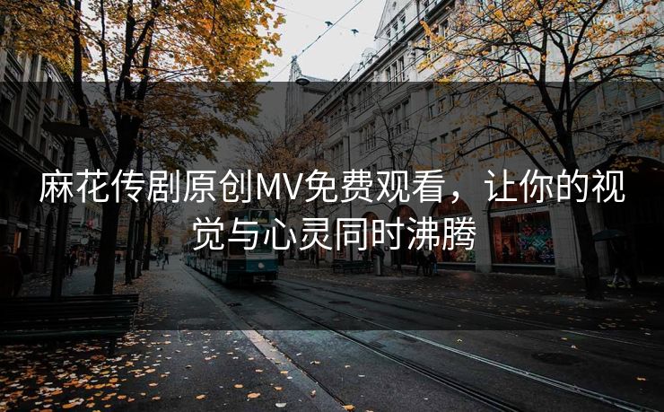 麻花传剧原创MV免费观看，让你的视觉与心灵同时沸腾